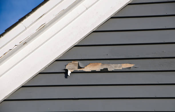 Professional Siding Services in Miami, OK